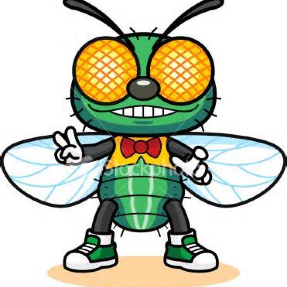 Торт бляха Муха