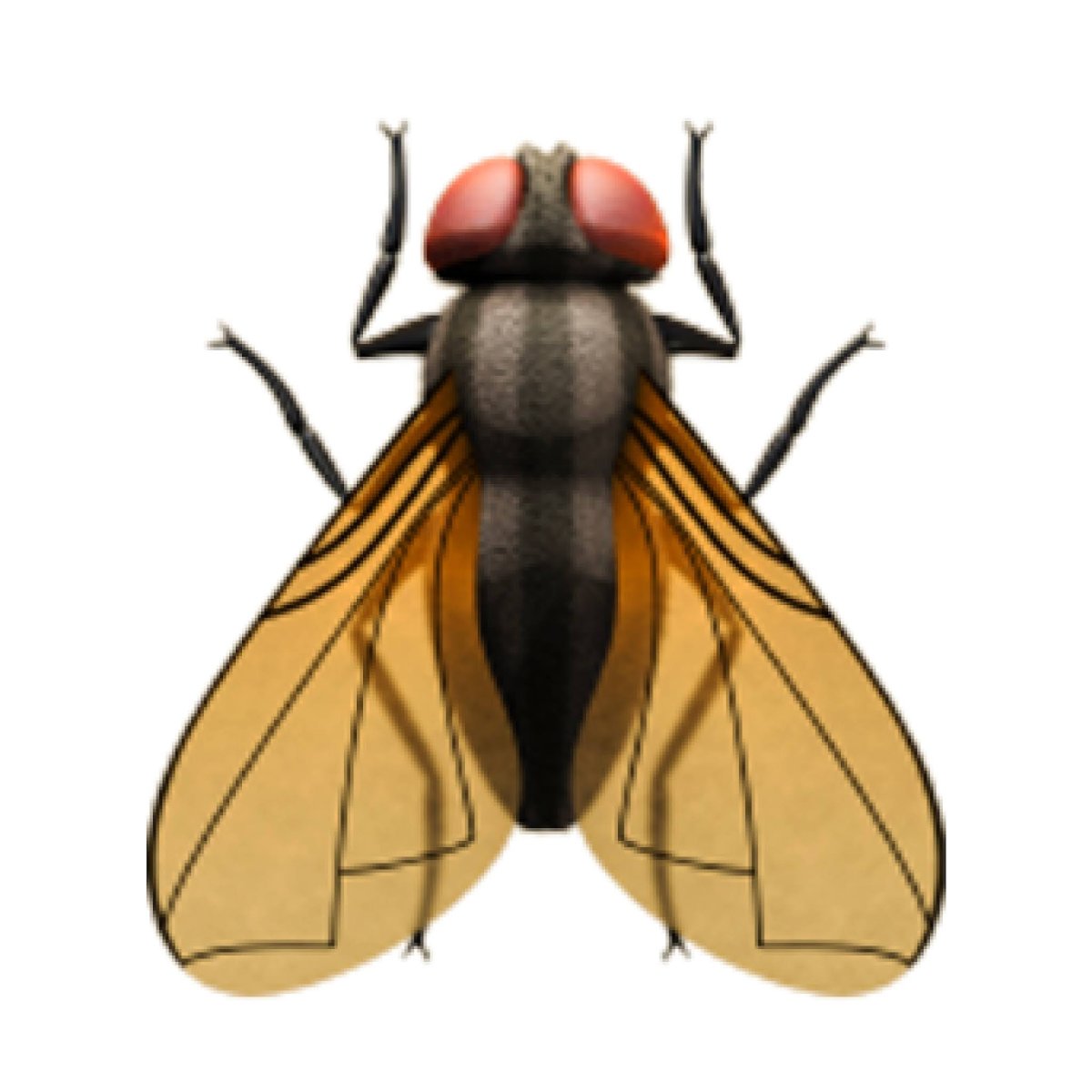 Муха из мультика