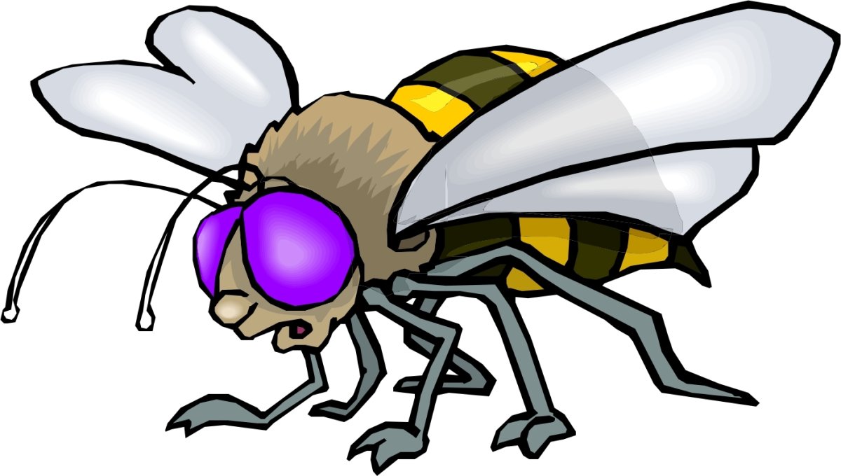 Муха для детей