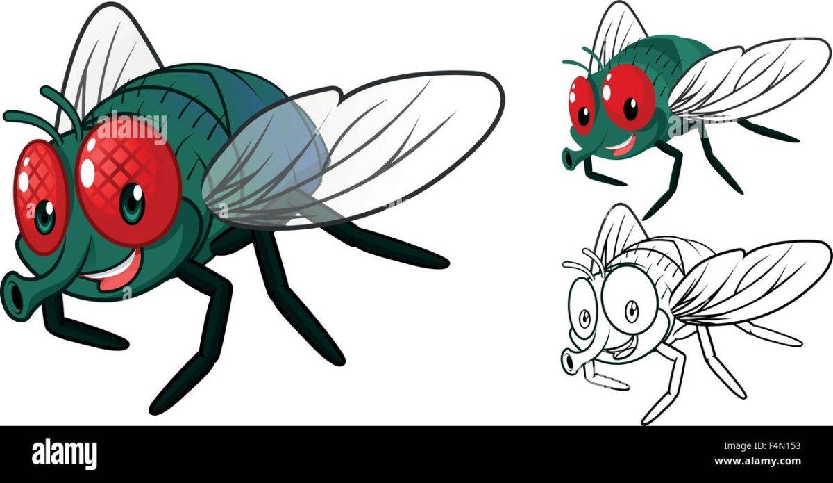 Муха на белом фоне мультяшная