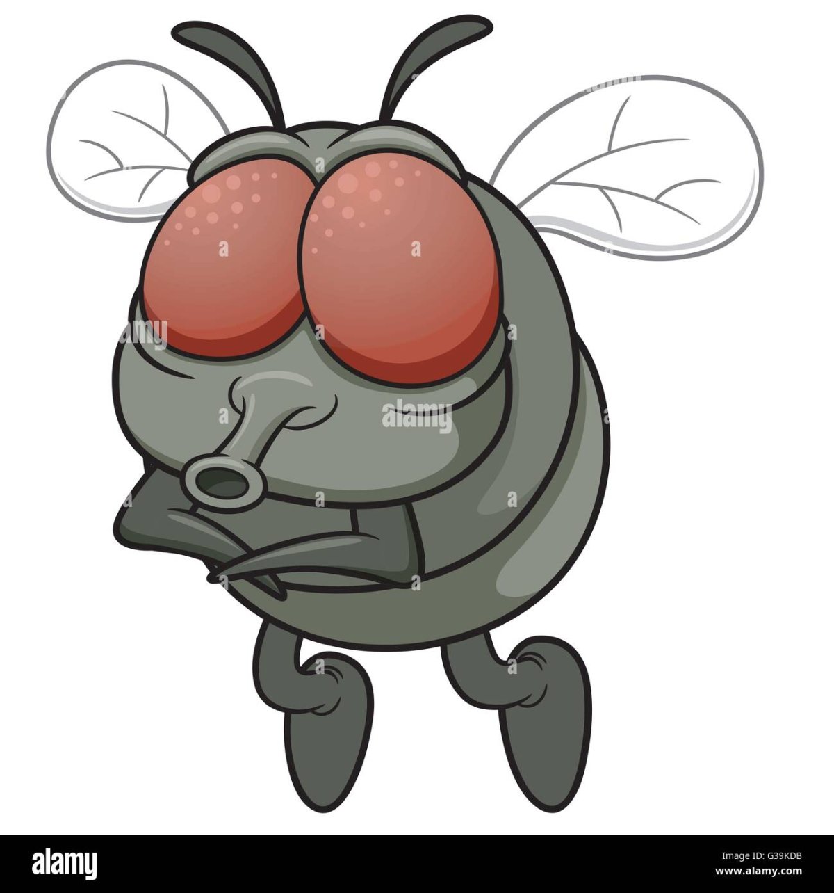 Добрая Муха