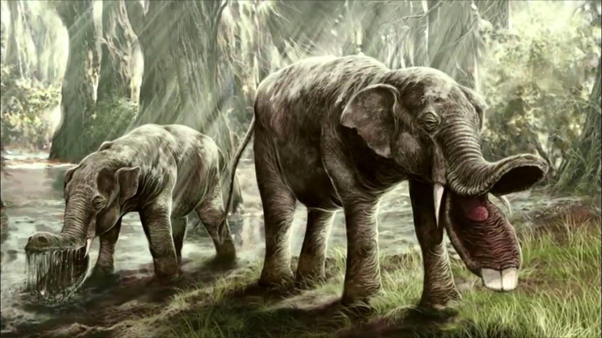 Вымершие животные платибелодон