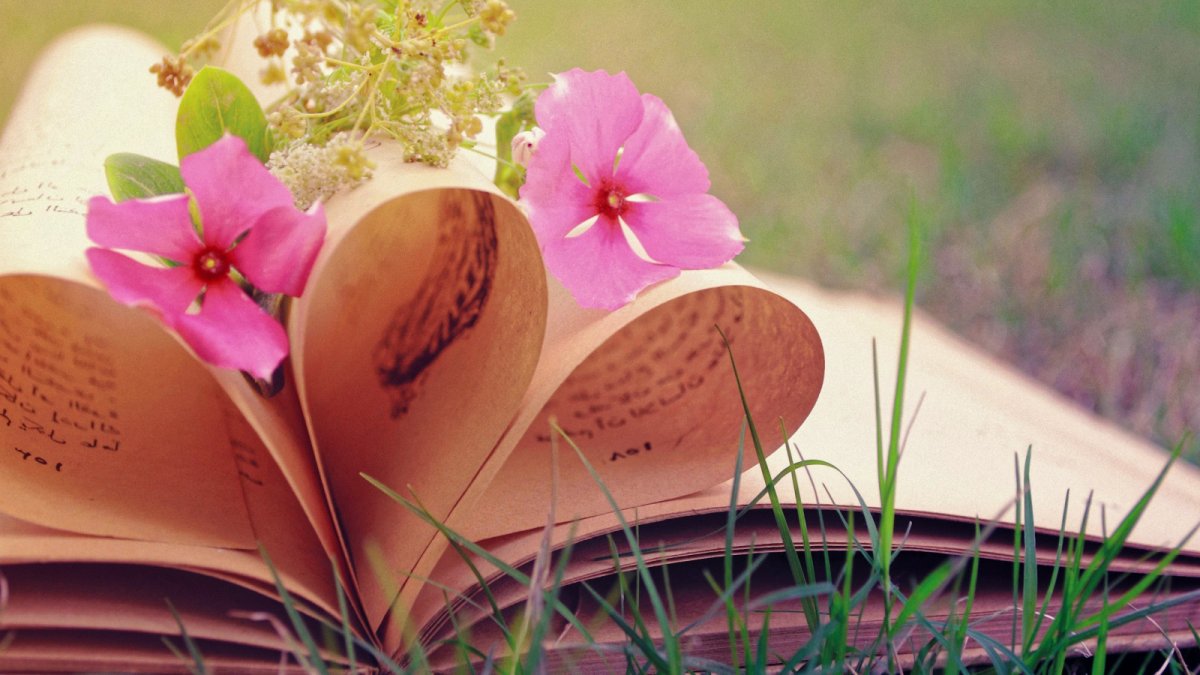 Фон для рабочего стола книги