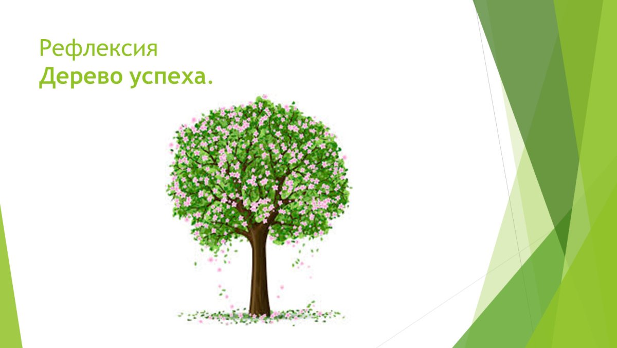 Дерево здоровья