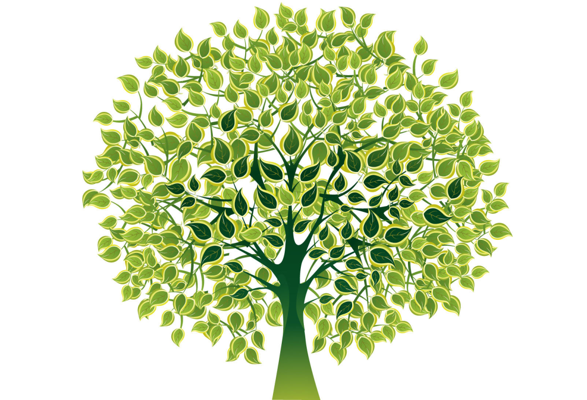 Родословная генеалогическое Древо Шежере