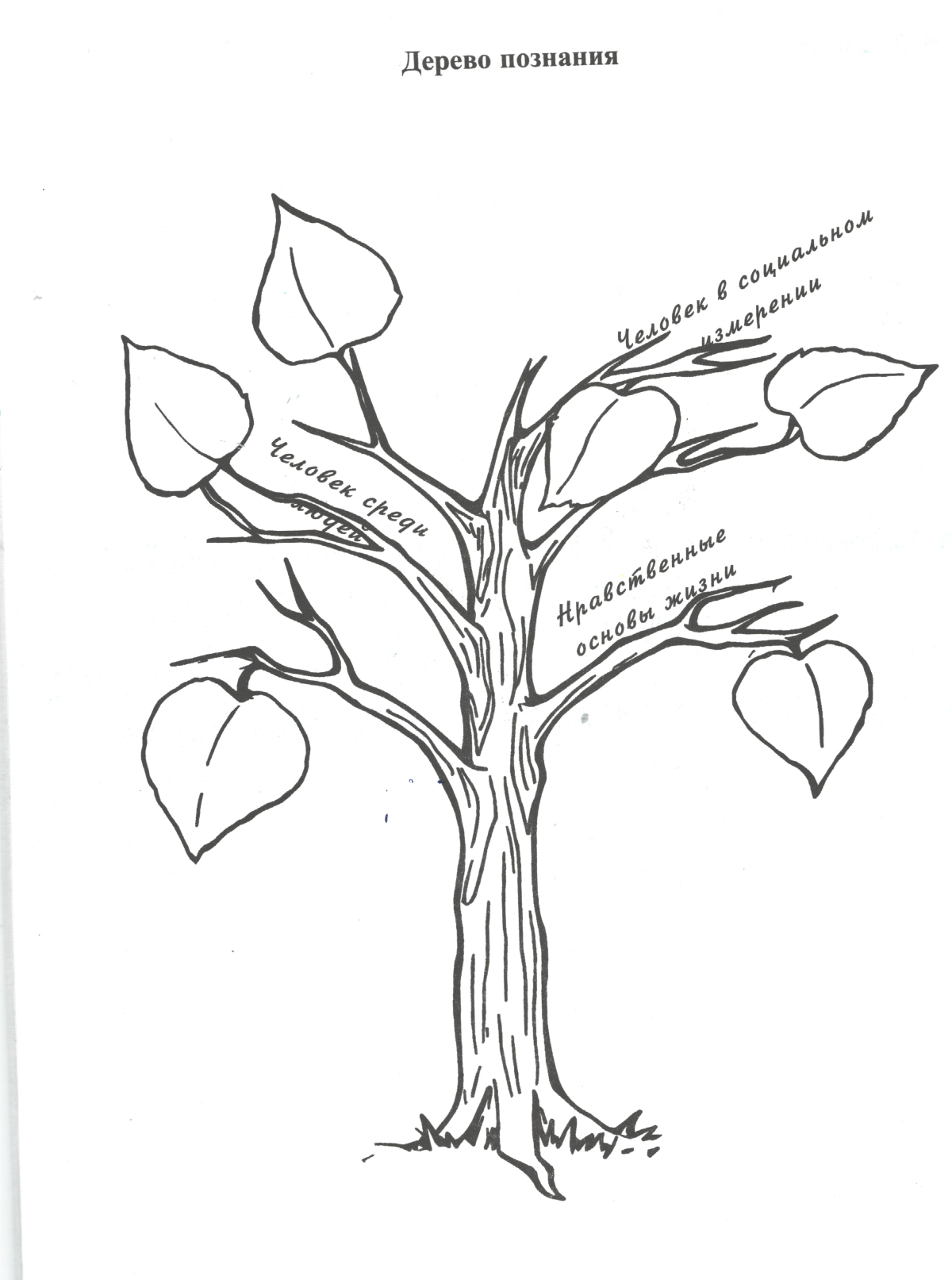 Древо жизни генеалогия