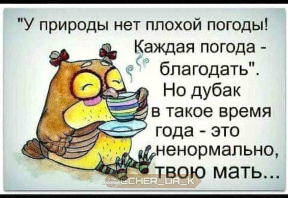 Открытки о погоде прикольные