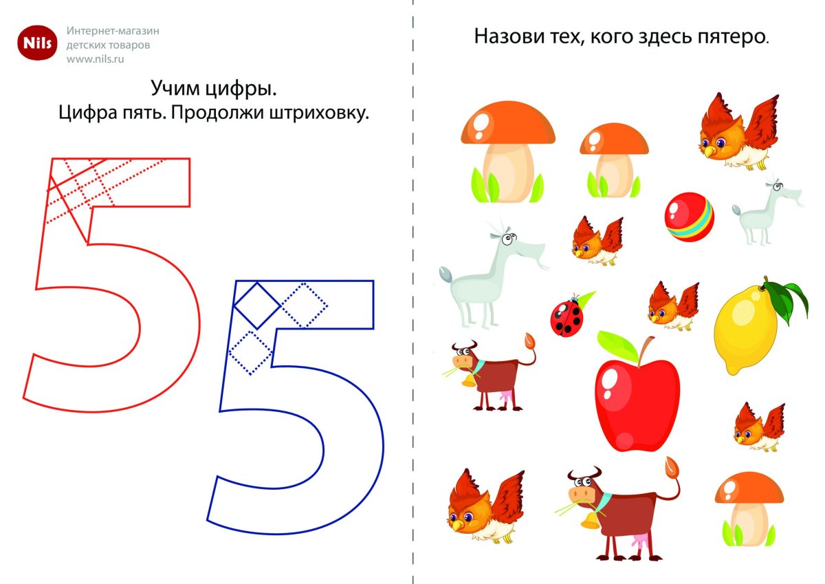 Число 5 задания для дошкольников