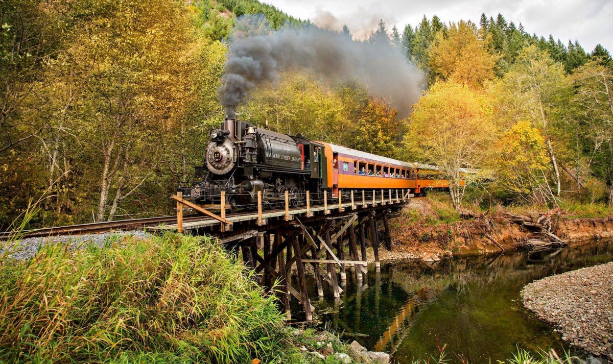 Поезд лес осень
