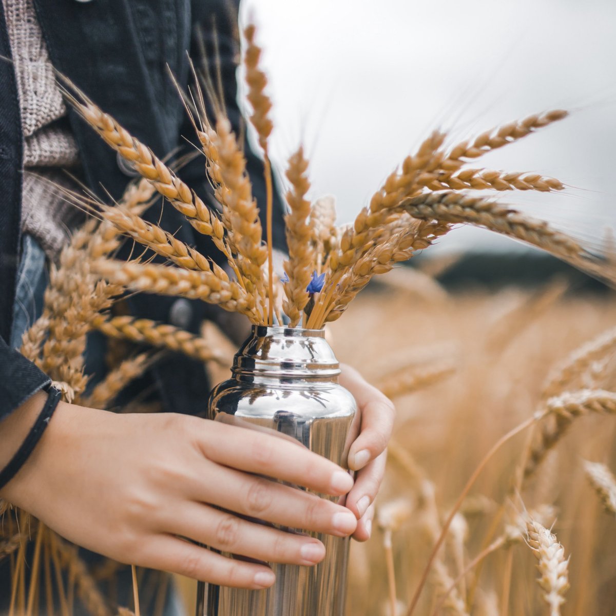 Фотосессия в колосьях