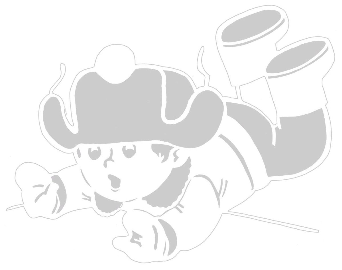 Енот рисунок легкий