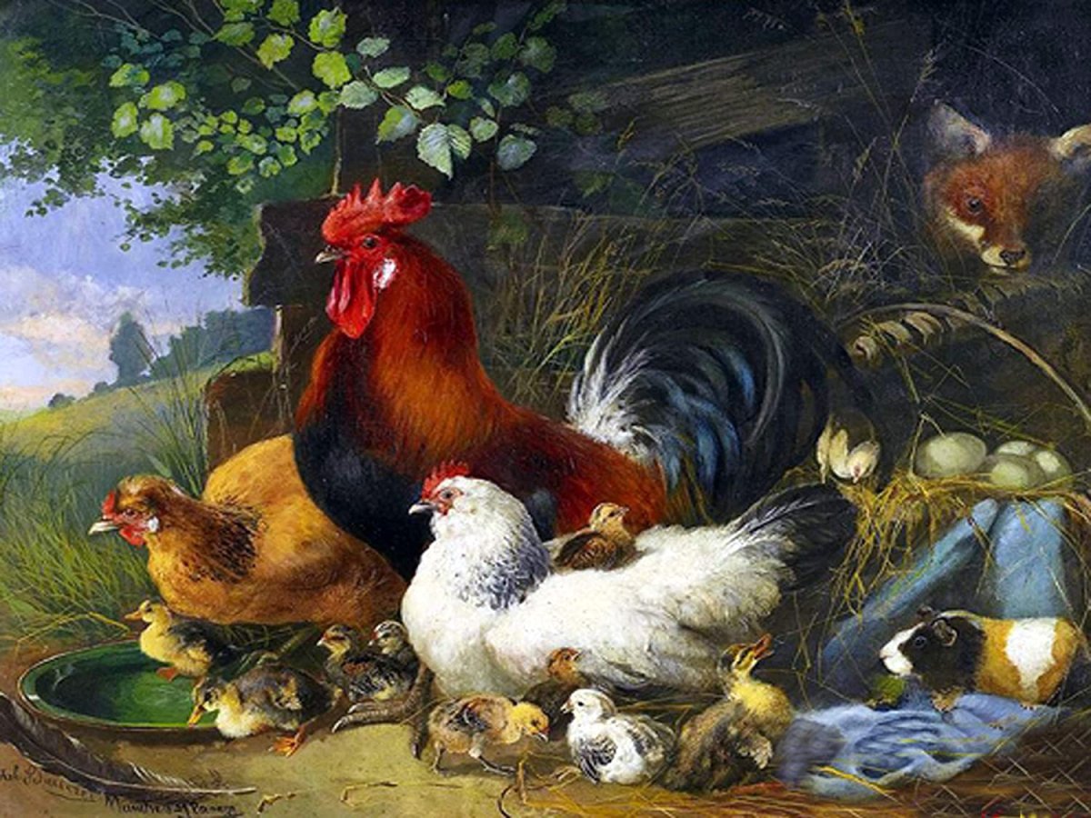 Птичий двор табличка