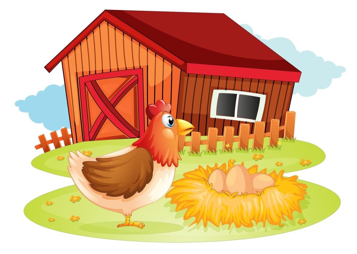 Птичий двор