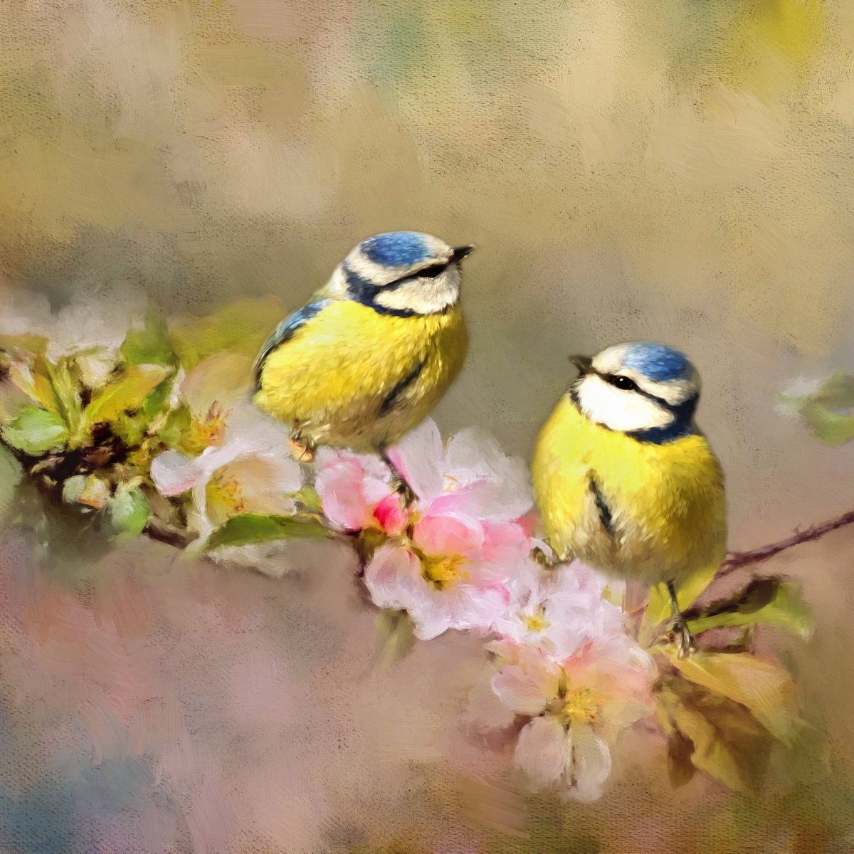 Синица зимой