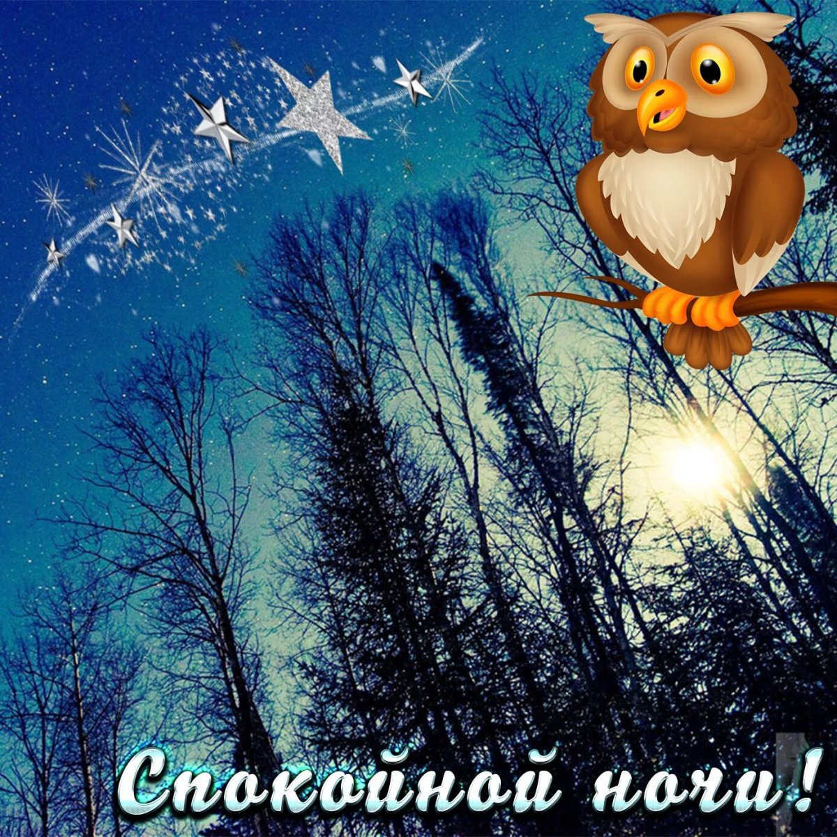 Приятных зимних снов