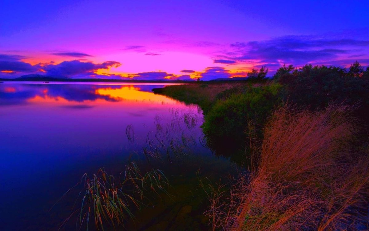 Природа закат