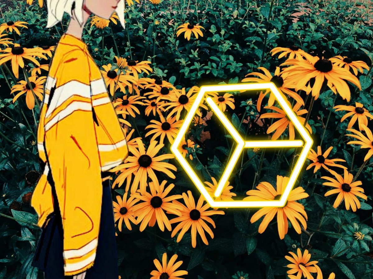 Аниме авы Эстетика