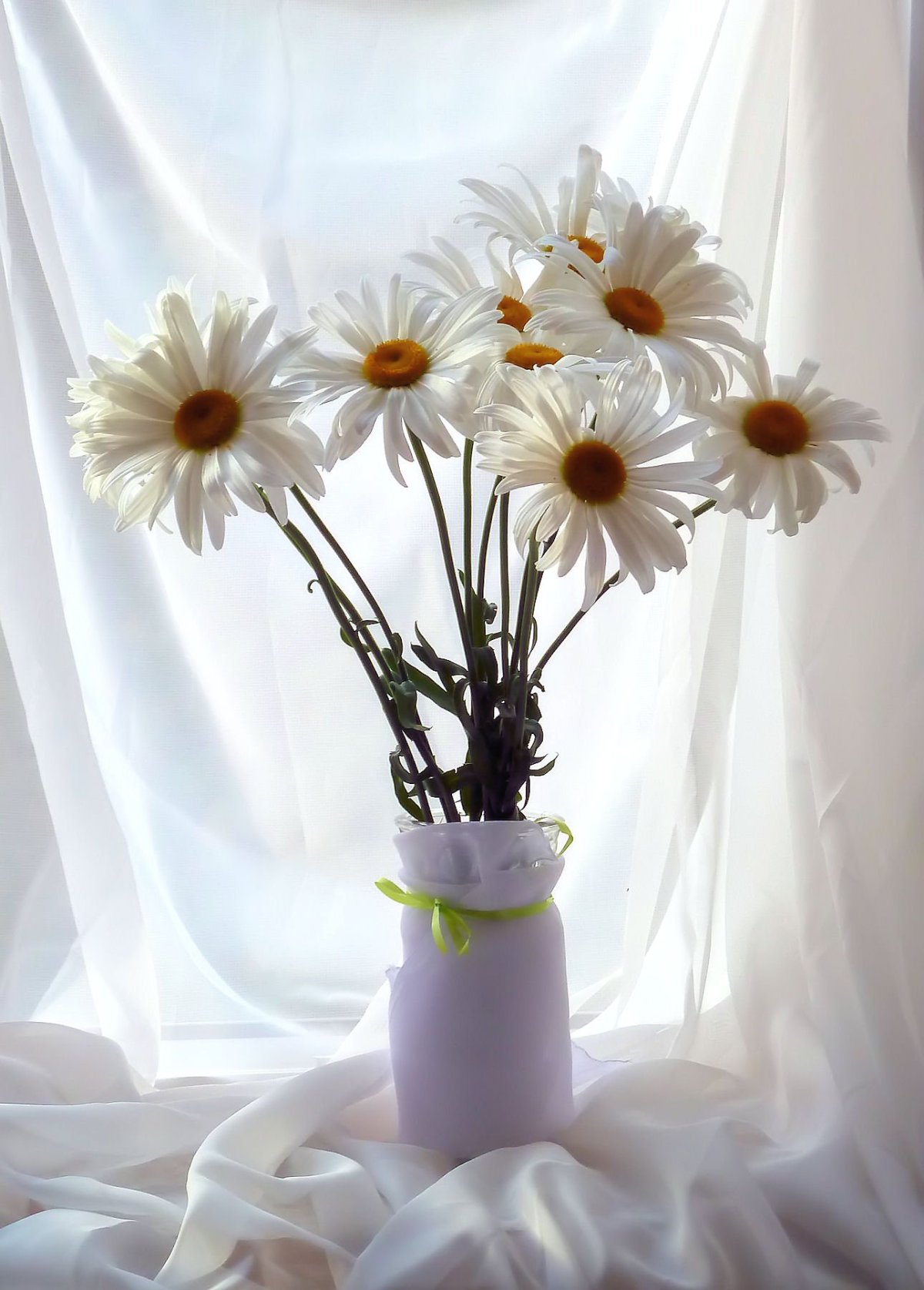 Букет «ромашковый рай»