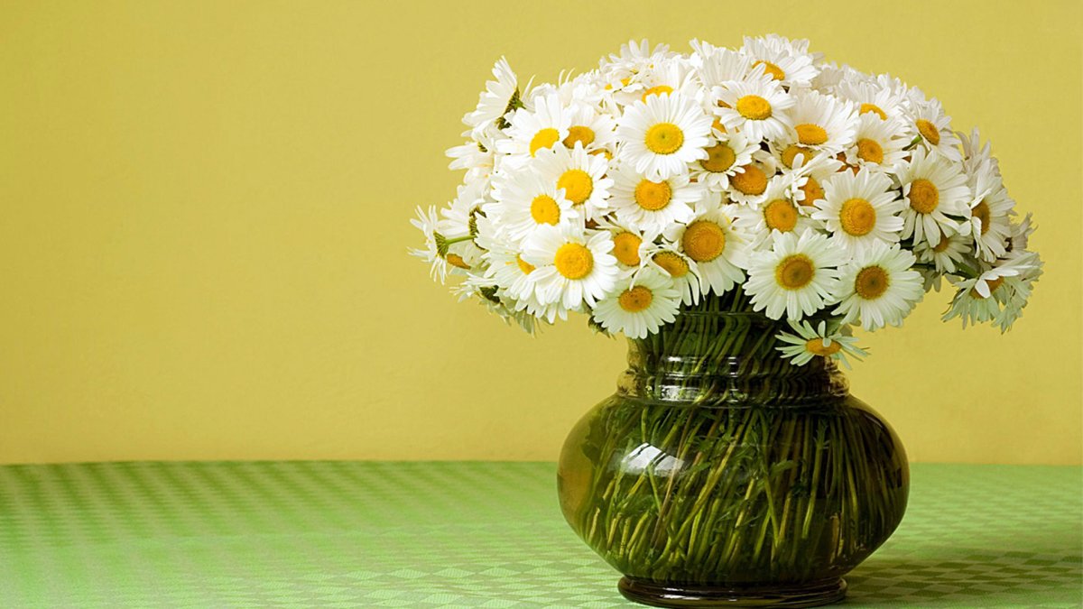 Большая желтая Ромашка в вазе