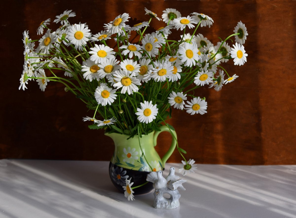 Ромашки в вазе