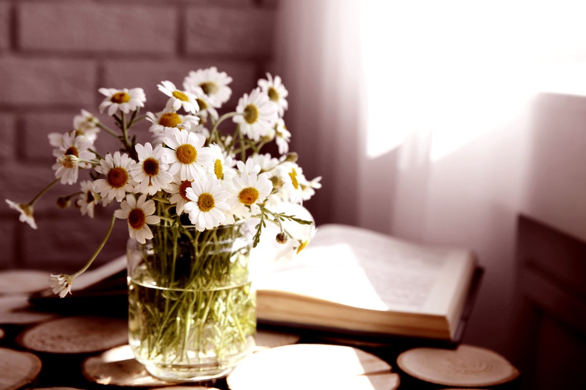 Алмазная мозаика утренние ромашки