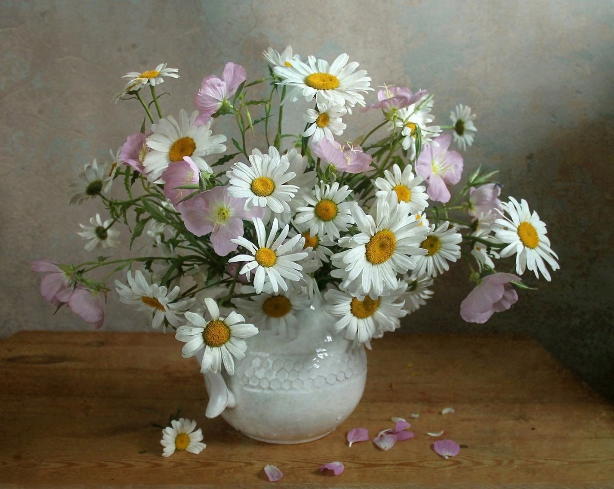 Марина Филатова ромашки натюрморт