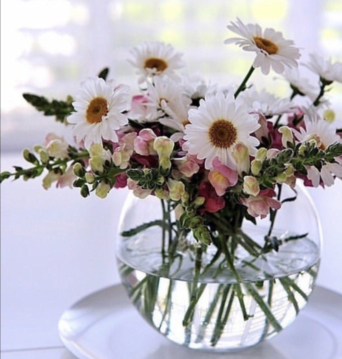 Букет полевых ромашек