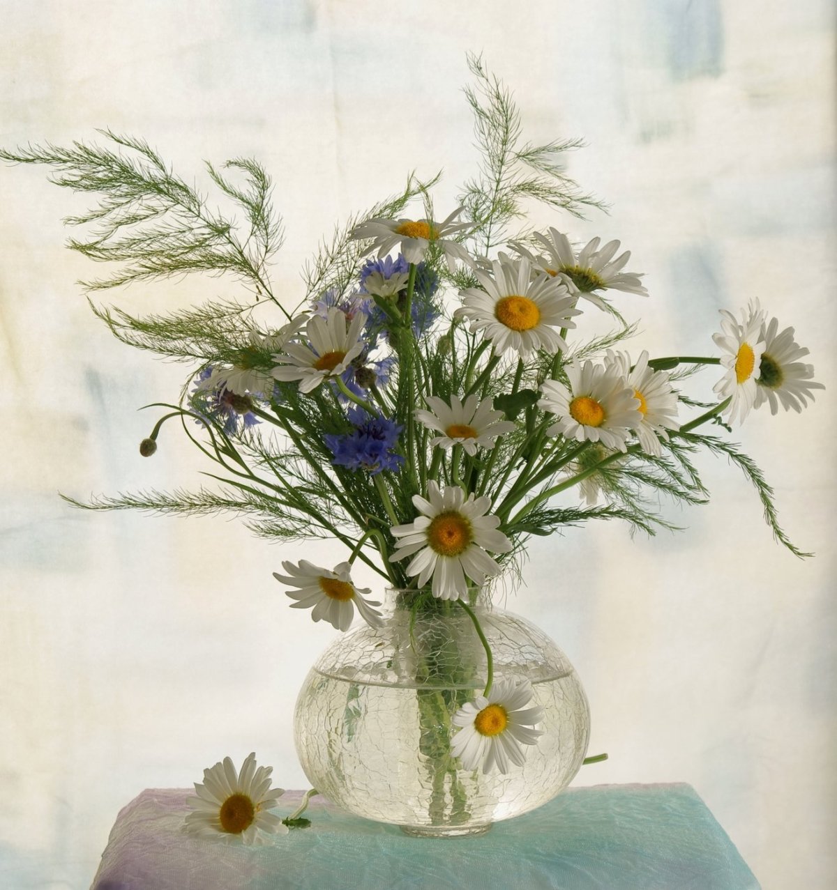 Букет ромашек на столе