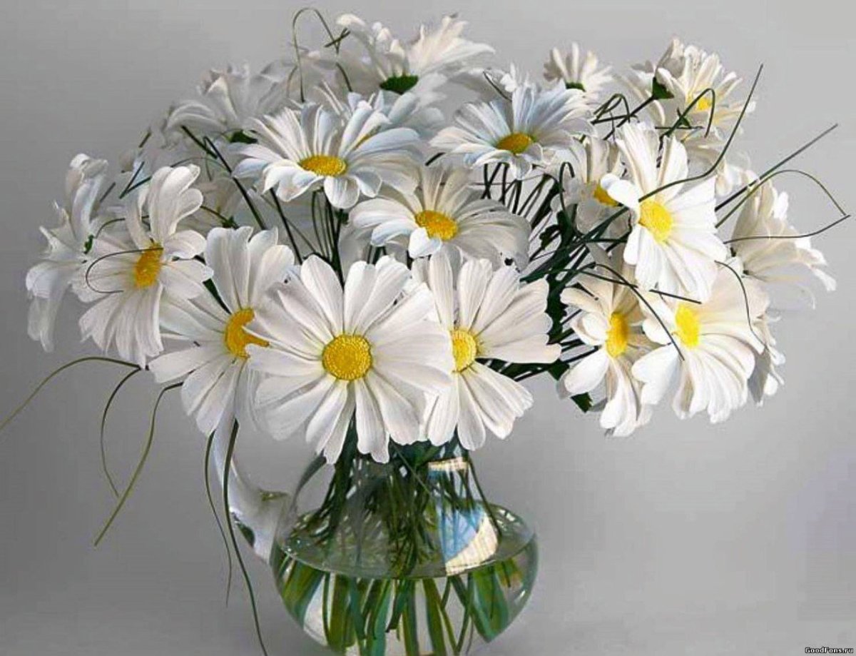 Букетище ромашек