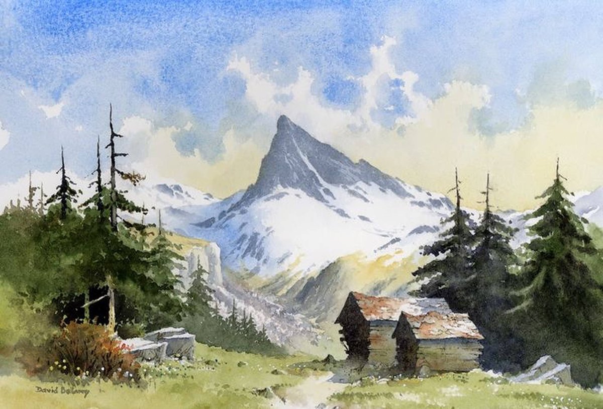 David Bellamy Watercolour