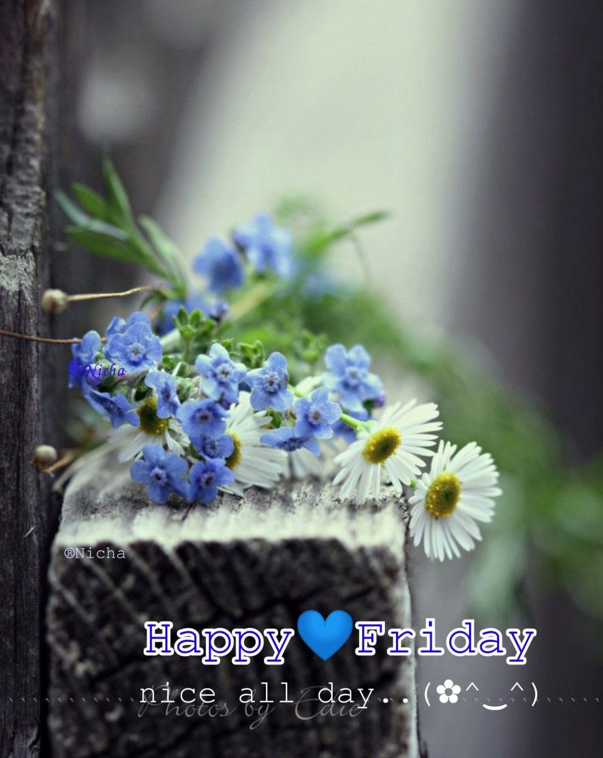 Фиалка букет незабудок