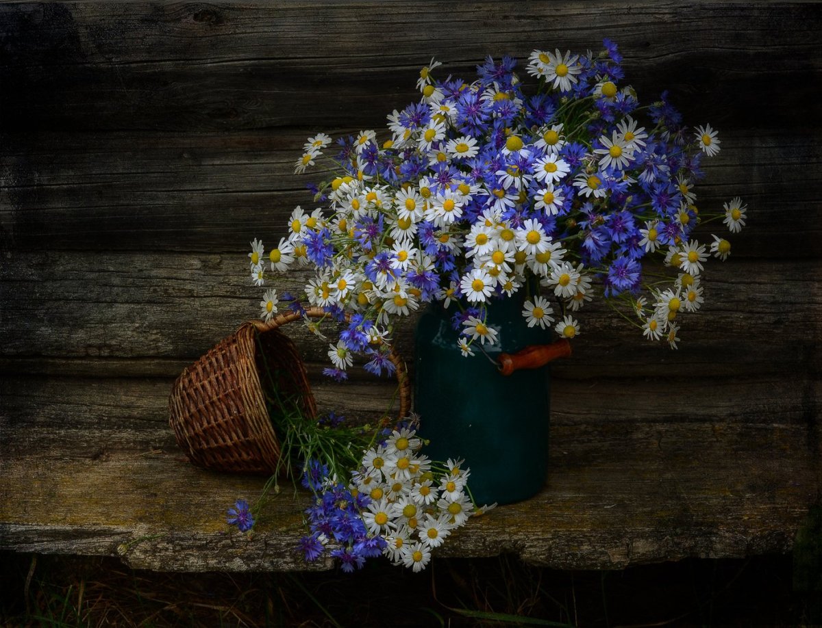 Голубые цветы в вазе