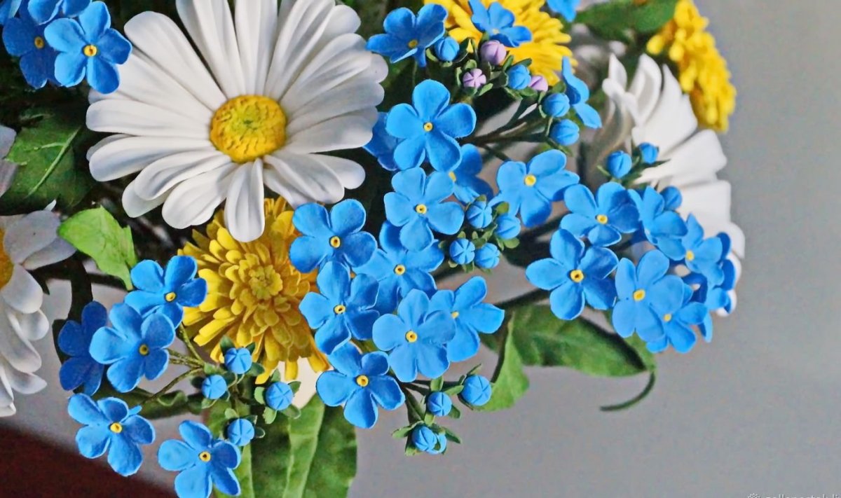 Ромашки и незабудки