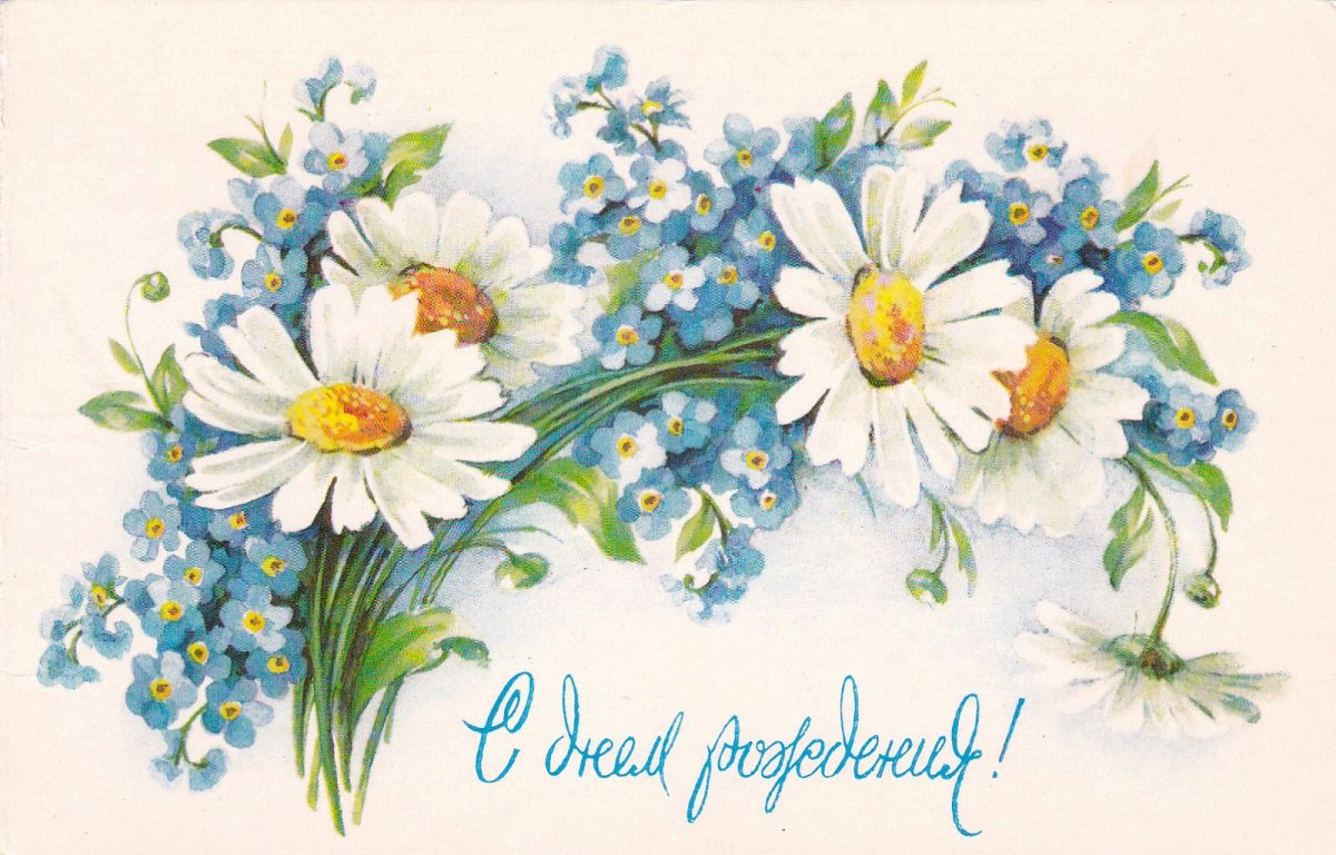 Ромашки с полевыми цветами