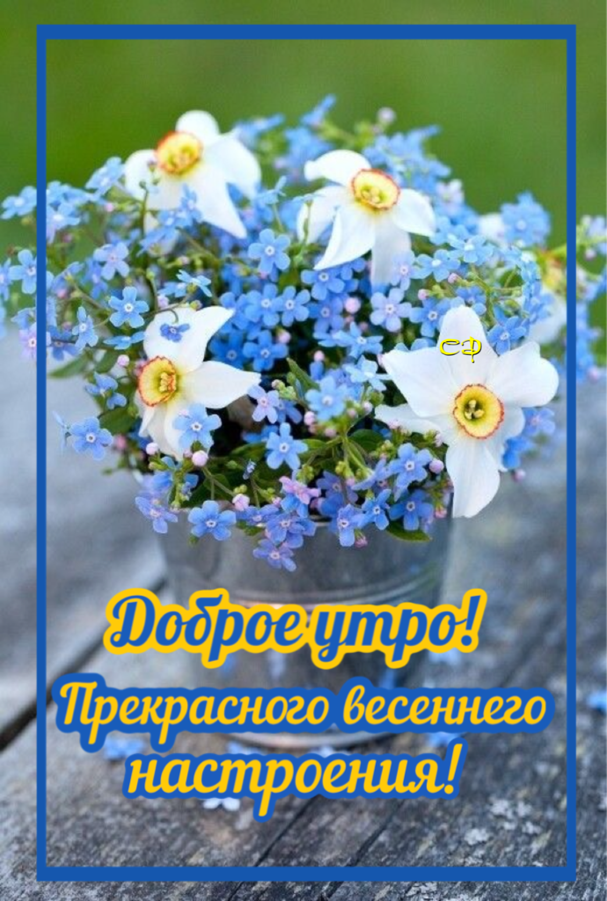 Цветы в кружке