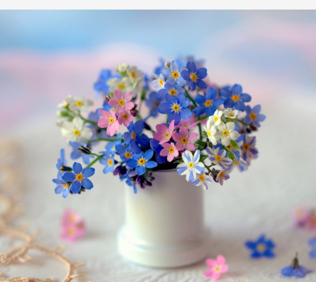 Незабудки Оксана Кравченко