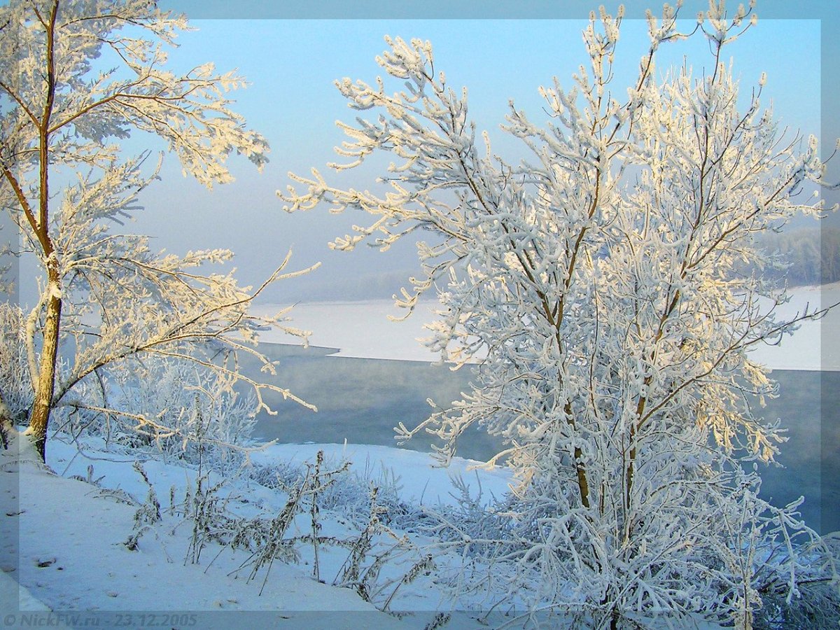 Чудесного морозного дня