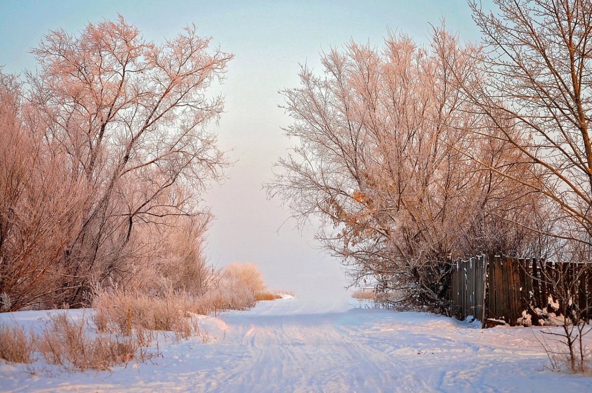 Мороз и солнце день чудесный