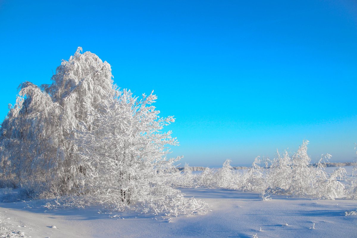 Мороз и солнце