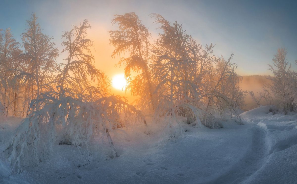 Мороз и солнце