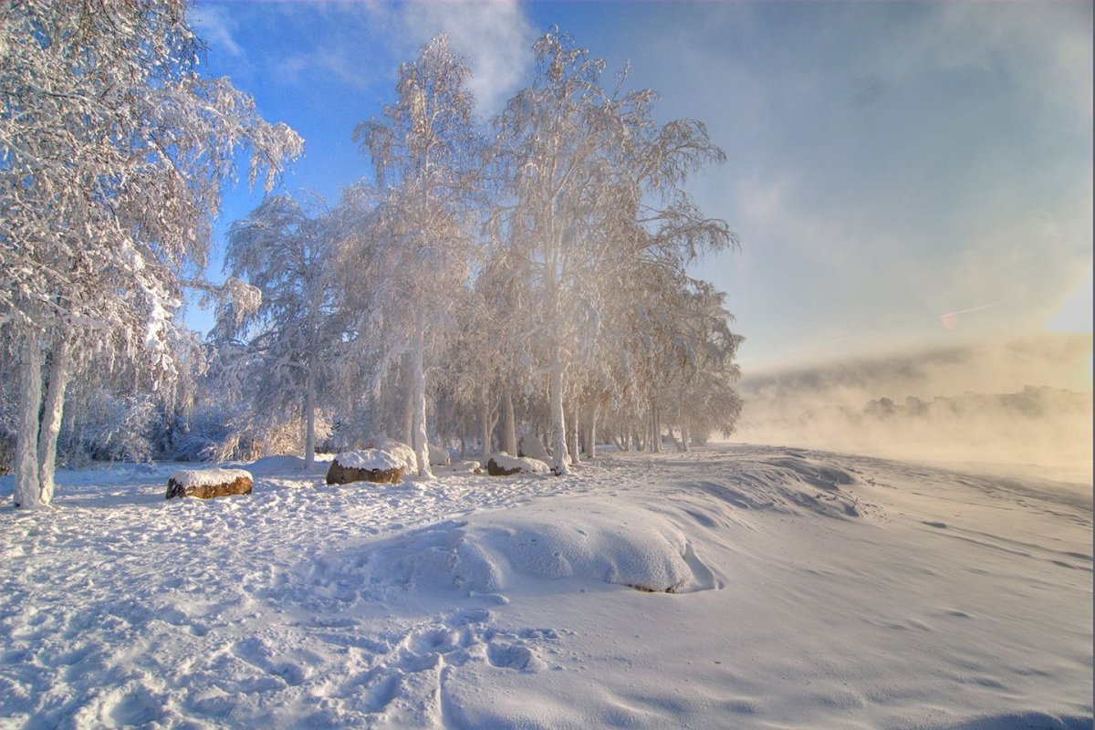 Мороз и солнце