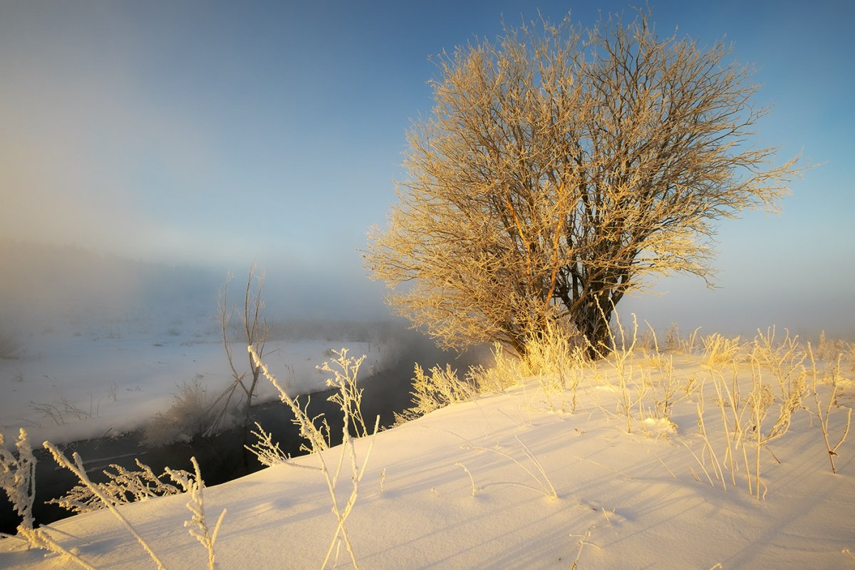 Мороз и солнце день чудесный