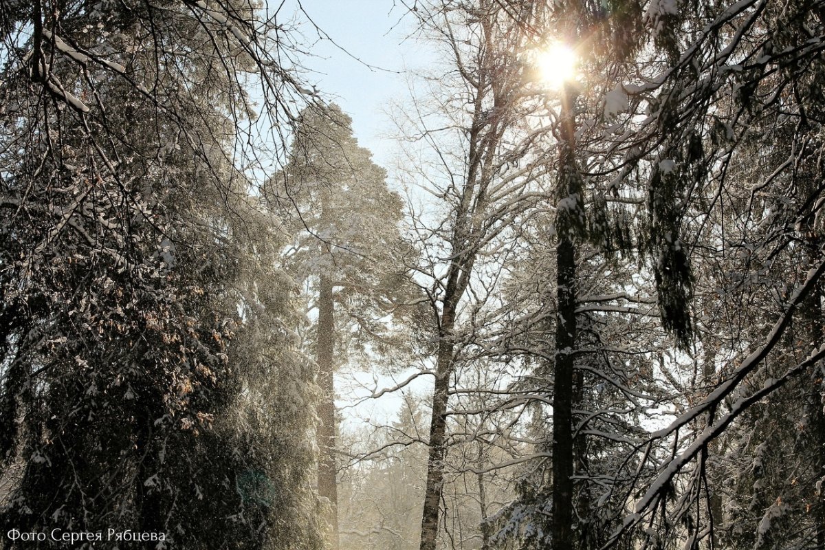 Сыктывкар зима