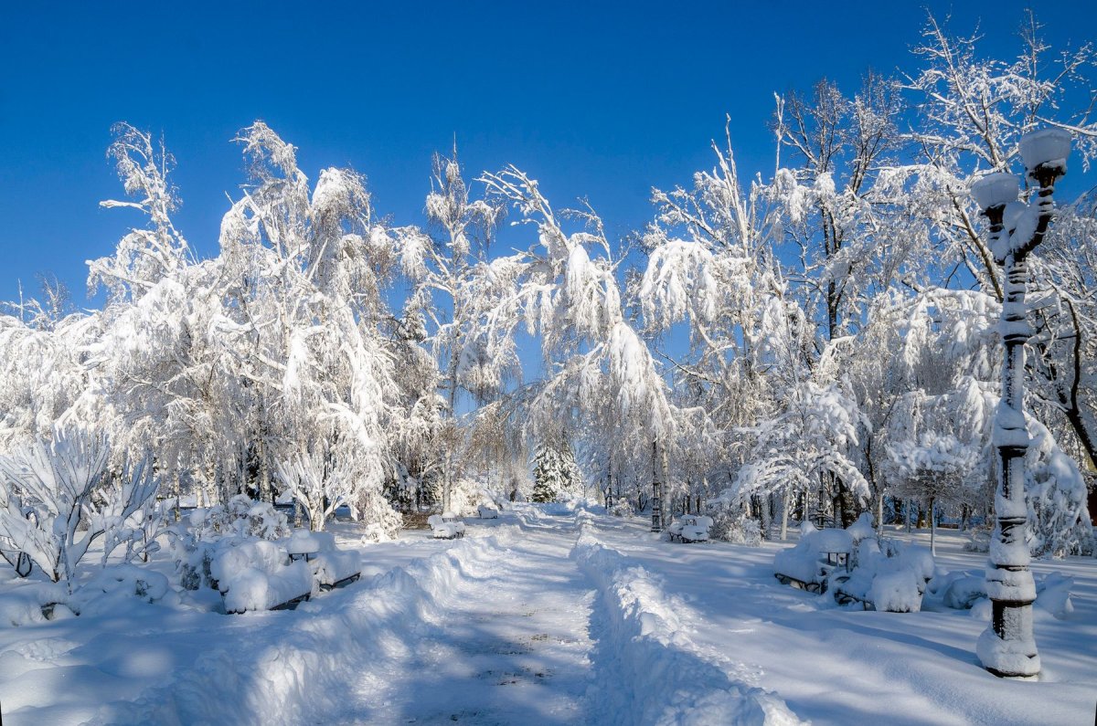 Мороз и солнце день чудесный пейзаж