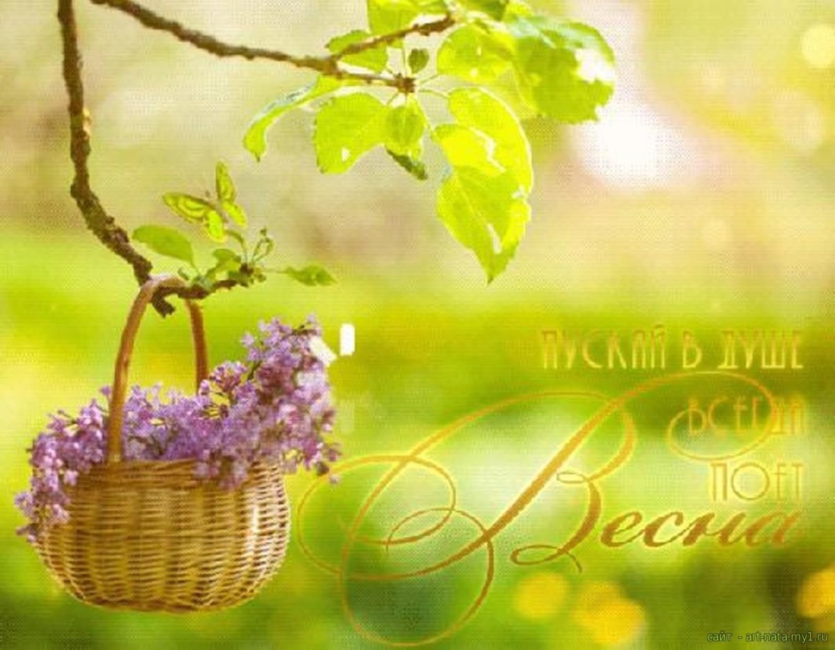 Весна в душе