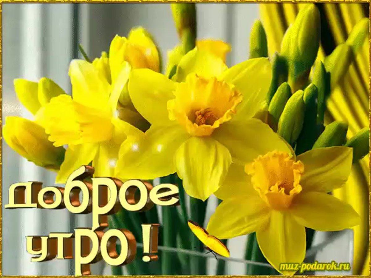 Пожелания с добрым весенним утром