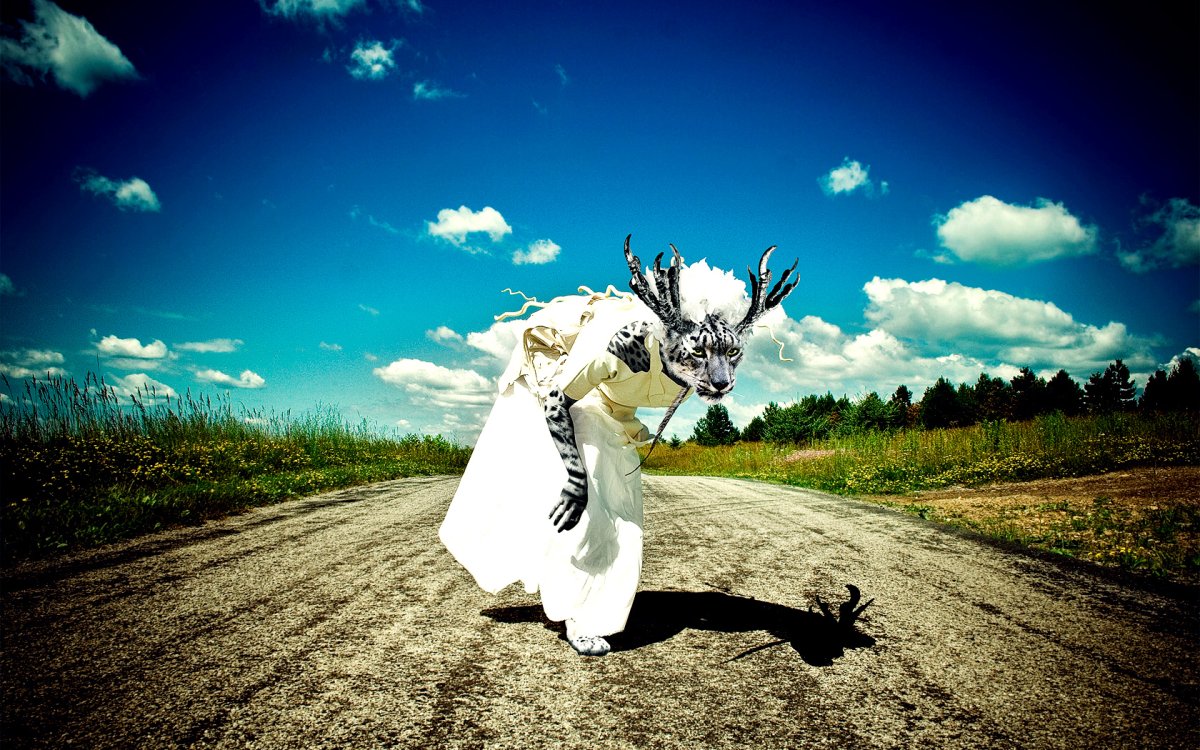 Неординарные картинки на рабочий стол