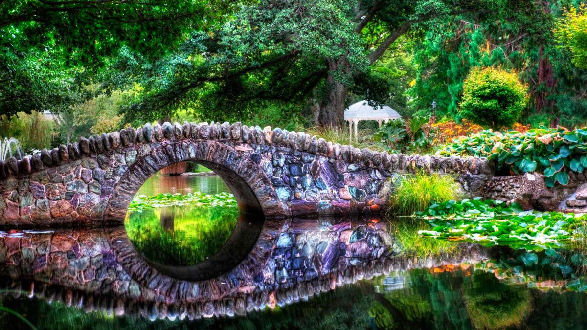 Необычная природа