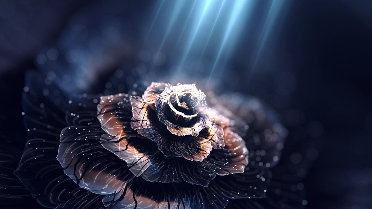 Красивые темные обои