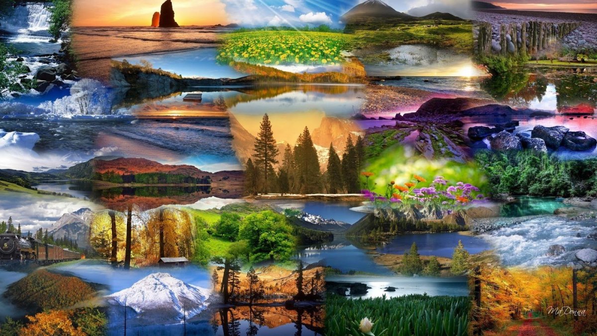 Многообразие природы